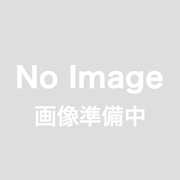 オプティマバッテリーレッドトップD26R、S-95Rキット